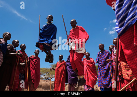 Eine Gruppe von Massai Männer, die sich an der traditionellen Adumu Tanz allgemein bekannt als das Springen Tanz in einem kommenden alt Zeremonie für junge Krieger in der Masai Stamm in der Ngorongoro Conservation Area im Krater im Hochland von Tansania Ostafrika durchgeführt Stockfoto