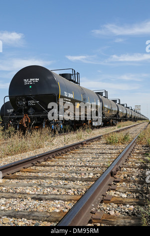 Tanker Eisenbahnwaggons, die für den transport von flüssiger und gasförmiger Rohstoffen wie Erdöl, sitzen auf einem Gleisanschluss im Leerlauf. Stockfoto