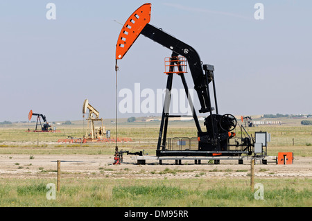 Oilpatch Pumpjacks Pumpe Rohöl aus einem Ölfeld in der Nähe von Shaunavon, Saskatchewan, Kanada. Stockfoto