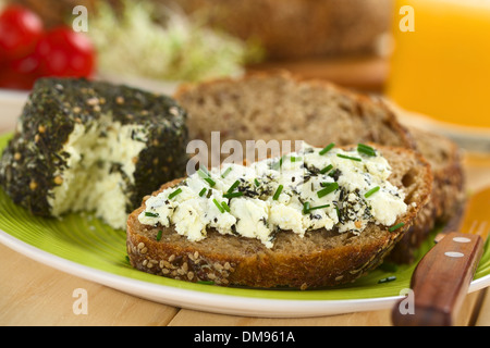 Scheibe Vollkornbrot mit Ziegenkäse mit Kräutern mit Schnittlauch obendrauf verteilen Stockfoto