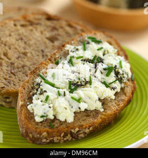 Scheibe Vollkornbrot mit Ziegenkäse mit Kräutern mit Schnittlauch obendrauf verteilen Stockfoto