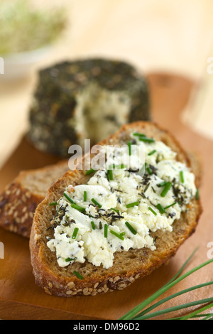 Scheibe Vollkornbrot mit Ziegenkäse mit Kräutern mit Schnittlauch obendrauf verteilen Stockfoto