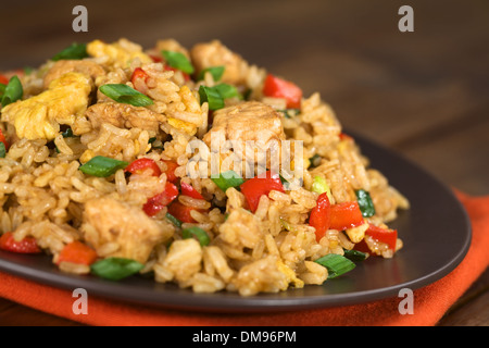 Hausgemachte Chinesisch gebratener Reis mit Gemüse, Huhn und Spiegeleier auf dem Silbertablett serviert Stockfoto