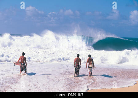 1. Dezember 2005; North Shore, Oahu, Hawaii, USA; Nicht identifizierte Surfer warten darauf, ihren Weg um die Welt-berühmten Surf auszumachen brechen an der Nordküste von Oahu. Pipeline behauptete das Leben des jungen Tahitian Surfer, MALIK JOYEUX am Freitag, 2. Dezember 2005 nachdem er auf die erste Welle einer Reihe ausgelöscht und möglicherweise von seinem Brett bewusstlos geschlagen und ertrank. Obligatorische Credit: Foto von Dan Stockfoto