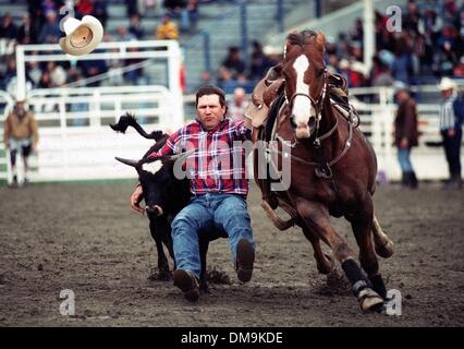 21. Mai 2005 konkurriert - Cloverdale, British Columbia, Kanada - Cowboy in Steer Wrestling Kategorie Jahresveranstaltung Cloverdale Professional Rodeo. Das Rodeo wurde zuerst in 1945 statt und war so beliebt, dass es von den unteren Fraser Valley Agricultural Association im Jahr 1947 übernommen wurde. 1962 wurde die Messe von Fraser Valley Exhibition Society übernommen, und im Jahr 1994, der Messe statt und Stockfoto