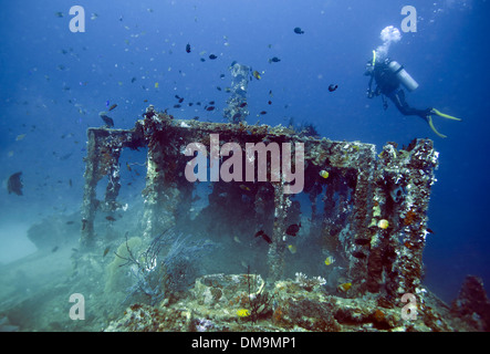 Taucher Tauchen auf den Mansinam Cross Schiffbruch im Hafen von Manokwari, West-Papua Stockfoto