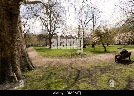 Frühling im zentralen Garten der Queen Square, Bath, Somerset, England, Großbritannien, UK Stockfoto