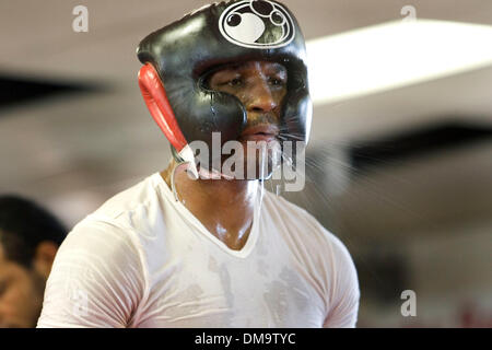 17. November 2009 - Upper Darby, Pennsylvania, USA - Philadelphia Bernard "The Executioner" Hopkins in einer Trainingseinheit. Hopkins wird E. Ornelas in Philadelphia 2. Dezember 2009 kämpfen.  (Kredit-Bild: © Jay Gorodetzer/ZUMA Press) Stockfoto