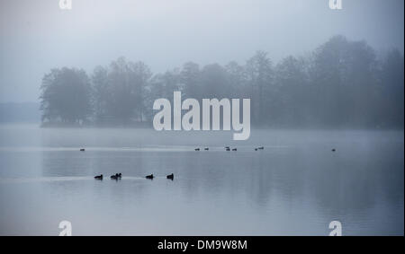 Motzen, Deutschland. 13. Dezember 2013. Der Nebel Slowley klärt über dem See in Motzen, Deutschland, 13. Dezember 2013. Berlin war Freitagmorgen in dichten Nebel gehüllt. Foto: BERND VON JUTRCZENKA/Dpa/Alamy Live-Nachrichten Stockfoto