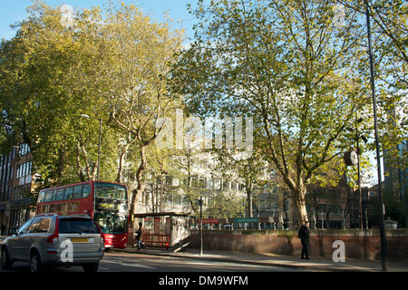 Bäume am Altab Ali Park, Whitechapel, London UK Stockfoto