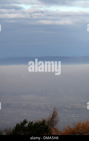 Ein Blick über Glasgow eingehüllt in frostiger Nebel aus der Caithkin Braes oberhalb der Stadt. 25. November 2013. Herbstliche Nebel Wetter. Stockfoto