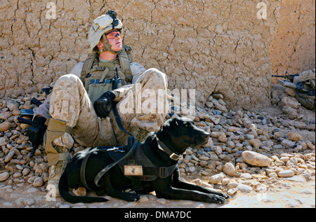 US Marine Corps Lance Cpl. Andrew Day sitzt mit CPL Fiddler, ein militärischer Arbeitshund hinter einer Mauer, die nach einem Feuergefecht mit Aufständischen 4. Dezember 2013 in der Nähe von Bari Gul Basar im Bezirk Nad Ali, Provinz Helmand, Afghanistan. Stockfoto