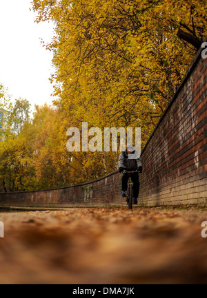 Herbst von einer Gracht in Birmingham, England Stockfoto