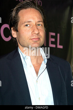 16. Oktober 2002 - Los Angeles, Kalifornien, USA - DAVID DUCHOVNY... 9. JÄHRLICHE PREMIERE "FRAUEN IN HOLLYWOOD' MITTAGESSEN. DAS FOUR SEASONS HOTEL, LOS ANGELES, KALIFORNIEN. 16. OKTOBER 2002. NINA PROMMER / 2002 K26764P (Kredit-Bild: © Globe Photos/ZUMAPRESS.com) Stockfoto