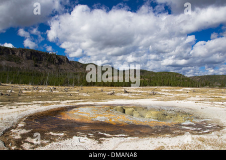 Jewel Geysir Keks Becken Yellowstone-Nationalpark, Wyoming. USA LA006725 Stockfoto