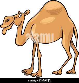 Dromedar Kamel Stock Vektor