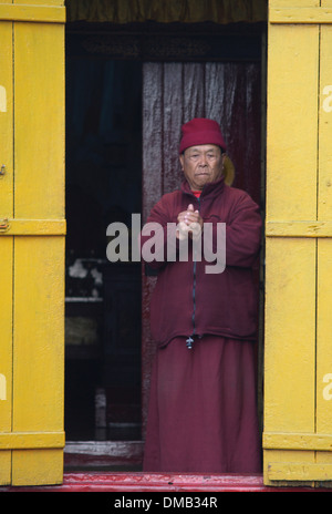 Der alte Mönch Yiga Choeling Ghoom Kloster, Darjeeling, Indien Stockfoto