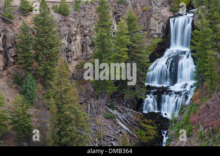 Undine Falls Yellowstone Nationalpark, Wyoming. USA LA007040 Stockfoto