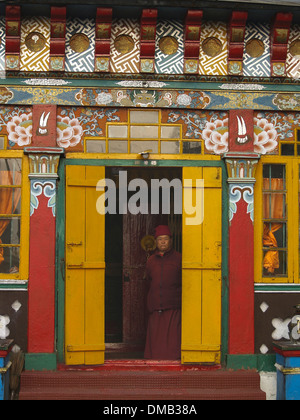 Der Hauptmönch peering aus der Tür des Yiga Choeling Ghoom Kloster, Darjeeling, Indien Stockfoto