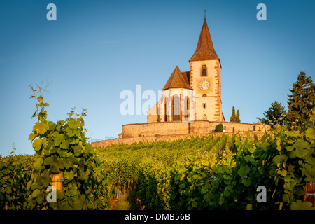 Morgendämmerung auf das 15. Jahrhundert Kirche von St. Jacques, umgeben von den Weinbergen des Grand Cru in Hunawihr, Elsass Frankreich Stockfoto