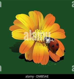 Marienkäfer auf Blume Stock Vektor