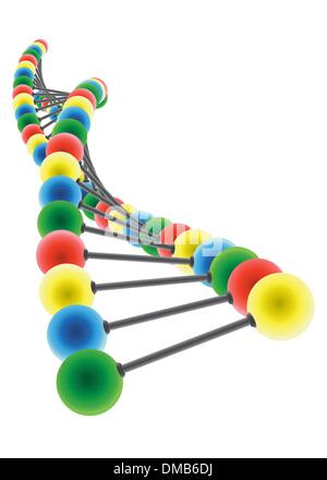 DNA-Modell Stock Vektor