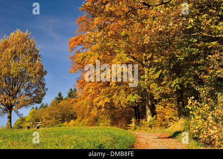 Deutschland, Natur Park Odenwald: Trekking Pfad und herbstlichen Wald am Katzenbuckel mountain Stockfoto