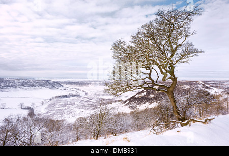 Schnee über das Loch des Horcum mitten in den North York Moors in der Nähe von Dorf Goathland, Yorkshire, Großbritannien. Stockfoto