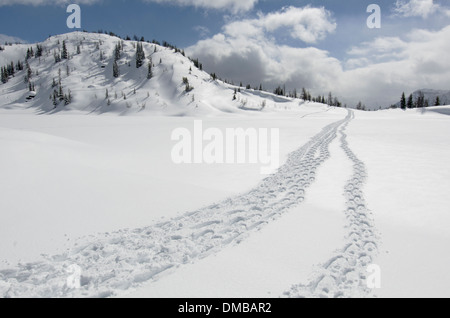 Ein Panorama der Winter weite jenseits Sunshine Village in den kanadischen Rockies geschossen während auf einer Schneeschuh-Wanderung. Stockfoto