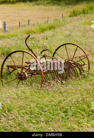 Eine verlassene rostenden Vintage landwirtschaftliche Heu Rechen Stockfoto