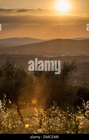 Ein dramatischer Himmel über den Hügeln der Toskana in Italien Stockfoto