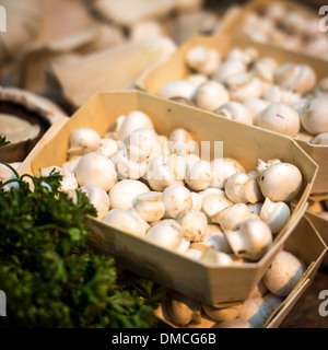 Kleine Champignons zum Verkauf im Borough Market Stockfoto