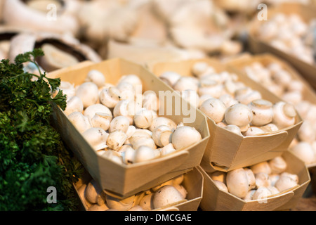 Kleine Champignons zum Verkauf im Borough Market Stockfoto