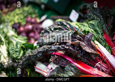 Rhabarber auf dem Display an Borough Market Stockfoto