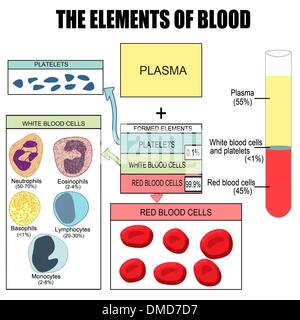 Die Elemente des Blutes Stock Vektor