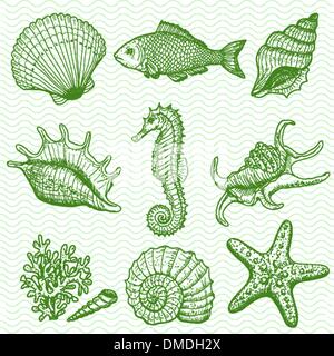 Meer-Sammlung. Original hand gezeichnete illustration Stock Vektor