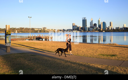 Eine Frau mit einem Hund an einem Uferweg mit Wolkenkratzern der Stadt in der Ferne ausgeführt. Perth, Western Australia, Australia Stockfoto