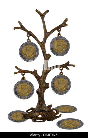 Geldbaum, Polnisch Geld am Baum. Stockfoto