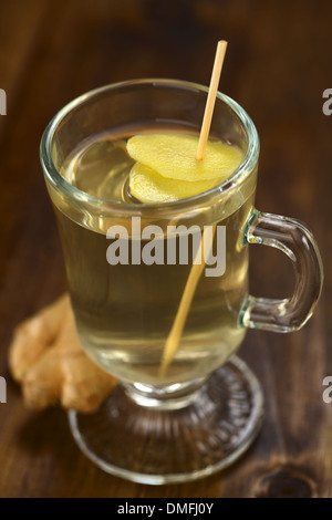 Frisch zubereiteter heiße Ingwer Tee aus frischer Ingwer mit Ingwer Scheiben auf Spieß in den Tee im Glas serviert Stockfoto