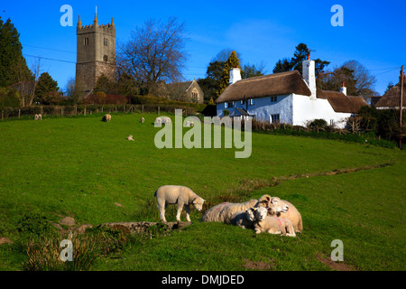 North Bovey Dorf, Dartmoor National Park, Devon, UK Stockfoto