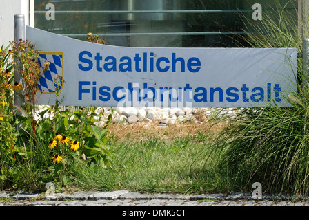Staatliche Fish Hatchery des Freistaates Bayern in Nonnenhorn am Bodensee. Stockfoto