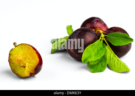 Reife Pflaume isoliert auf weißem Hintergrund Stockfoto