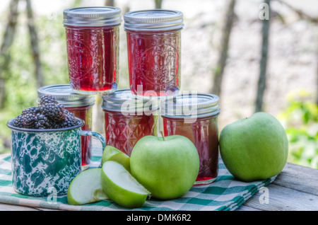 Gläser von hausgemachte Blackberry und Apfelgelee Stockfoto