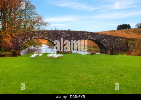Zwei Brücken, Princetown, Dartmoor, Devon, England, Vereinigtes Königreich Stockfoto