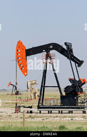 Oilpatch Pumpjacks Pumpe Rohöl aus einem Ölfeld in der Nähe von Shaunavon, Saskatchewan, Kanada Stockfoto