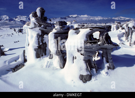 Marine Beach Sand Tuffstein, Mono Basin National Scenic Area, Kalifornien Stockfoto