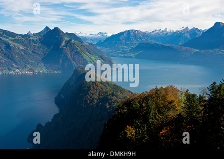 Bergige Landschaft am Vierwaldstättersee (Vierwaldstättersee) in der Nähe von Vitznau, See Urnersee auf der rechten Seite der Schweiz Stockfoto