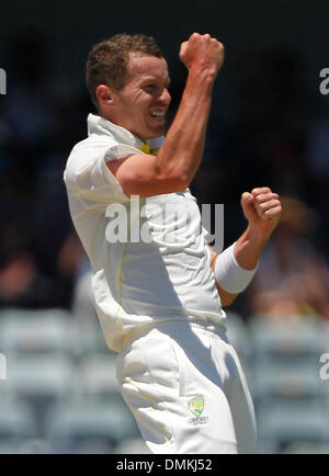 WACA, Perth, Australien. 15. Dezember 2013. Peter Siddle feiert ein Wicket. England gegen Australien 3. Asche Test in Perth an der WACA, WA, Australia statt. Bildnachweis: Aktion Plus Sport/Alamy Live-Nachrichten Stockfoto