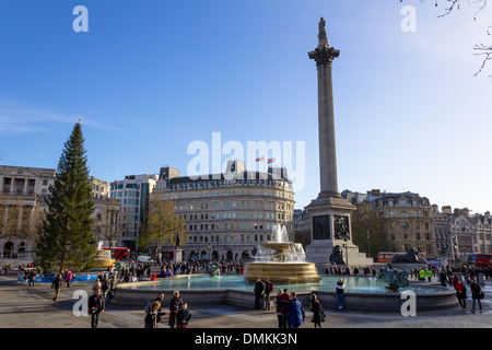 14. Dezember 2013 London: Trafalgar Square an einem hellen Tag zeigt den Weihnachtsbaum aus Norwegen und Menschen herumlungern Stockfoto