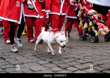 Lincoln, UK. 15. Dezember 2013. Tausende erweisen sich die Lincoln Santa und Hund Dash teilzunehmen oder zu Fuß für einen guten Zweck. Der Kurs begann auf der Burg mit der Route vorbei an der Kathedrale, dann wieder auf die Burg für das Finish. Bildnachweis: Ian Francis/Alamy Live-Nachrichten Stockfoto